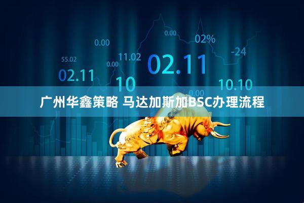 广州华鑫策略 马达加斯加BSC办理流程