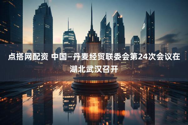 点搭网配资 中国—丹麦经贸联委会第24次会议在湖北武汉召开
