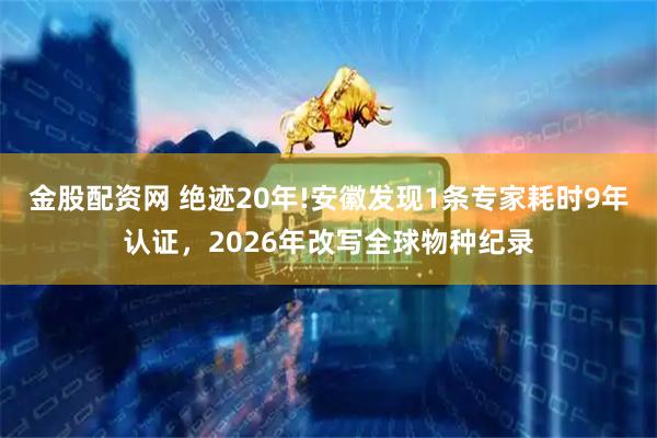 金股配资网 绝迹20年!安徽发现1条专家耗时9年认证，2026年改写全球物种纪录